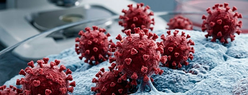 Rappresentazione microscopica tridimensionale di particelle virali rosse di coronavirus con proteine spike su una superficie cellulare.